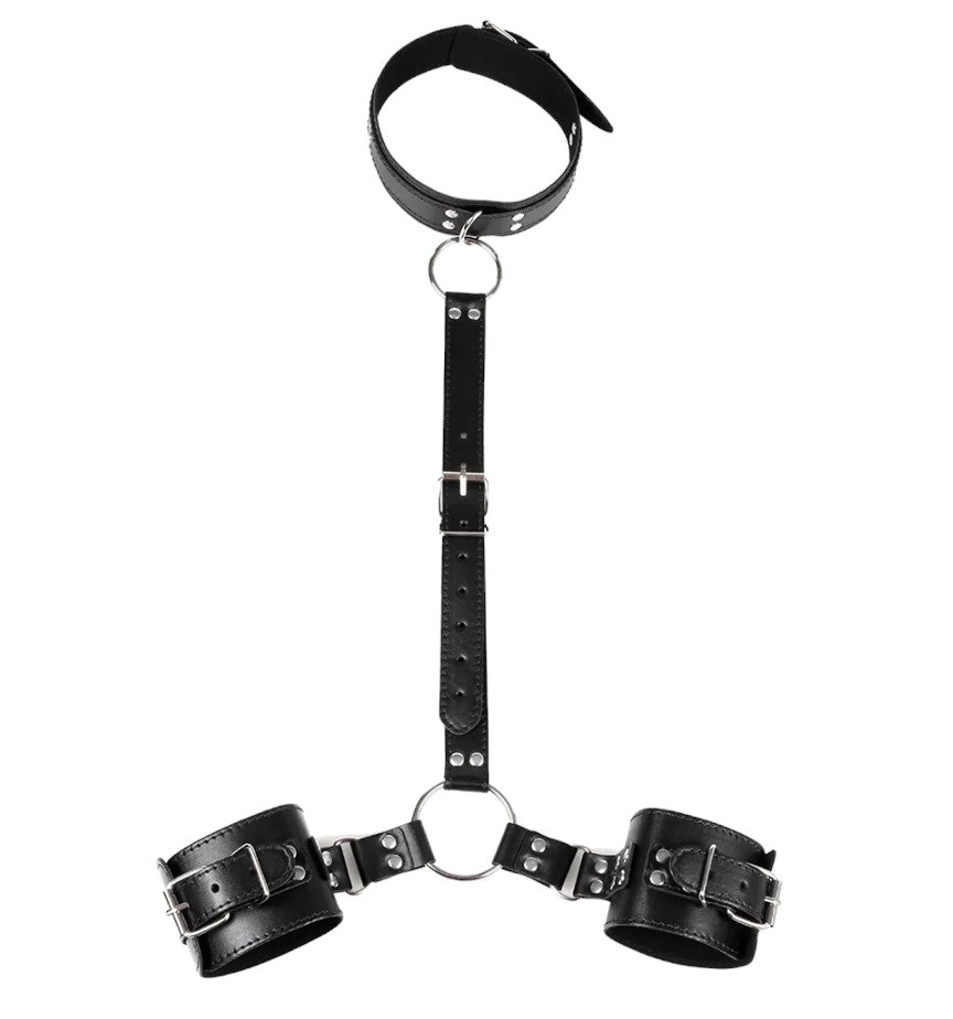 Wrist and Collar Restraint