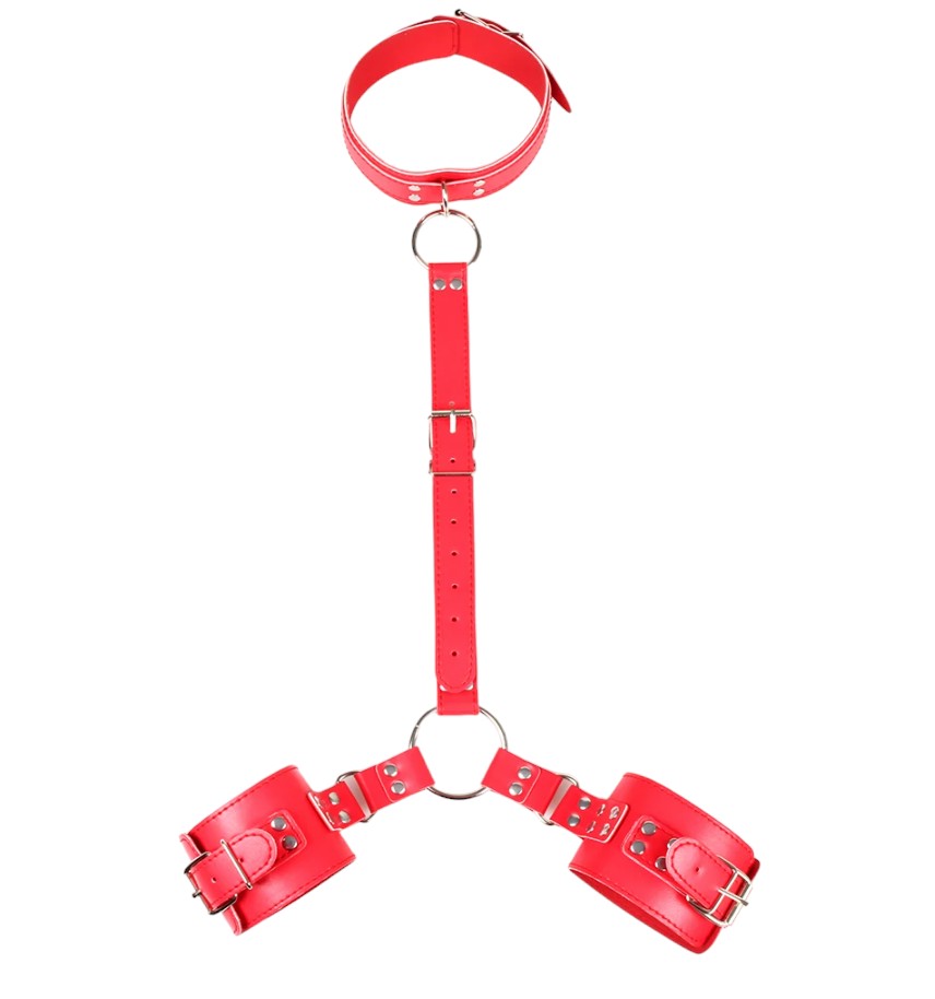 Wrist and Collar Restraint