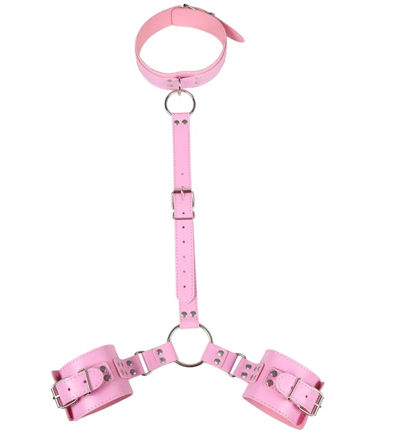 Wrist and Collar Restraint