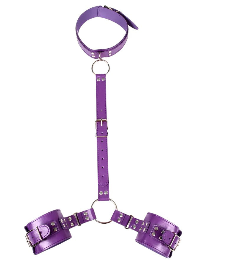 Wrist and Collar Restraint